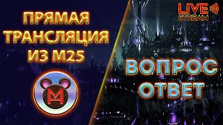 Neverwinter.Новый модуль М25.Мензоберранзан вторая неделя