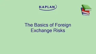 Foreign Exchange Risks