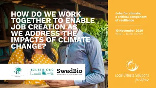 Jobs for climate: A critical component of resilience | LOCS4Africa 2020
