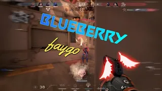 Blueberry 🍇 Faygo Valorant Montage ( should i try harder? )