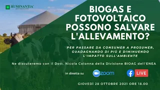 Biogas e fotovoltaico possono salvare l'allevamento?