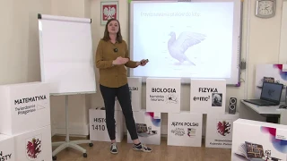 Biologia - klasa 6 SP. Ptaki - kręgowce zdolne do lotu