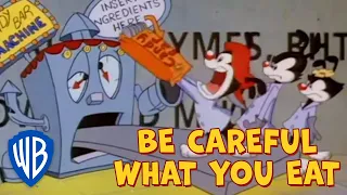 Animaniacs SING-ALONG 🎤 | Be Careful What You Eat | WB Kids