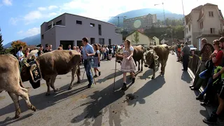 Alp Scheubs 2018