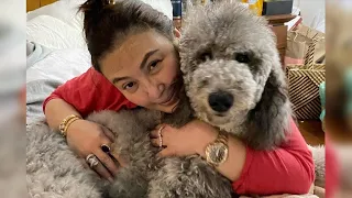 SHARON CUNETA, NA-HIGH BLOOD SA PRESYO NG BABOY!