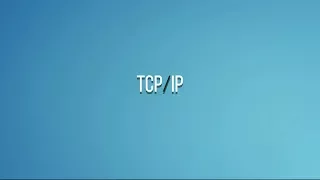 Winderton / Основы программирования. TCP/IP.