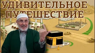 Удивительное путешествие