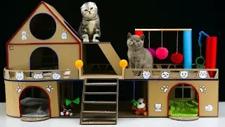 How to Make Amazing Cat House for Two  Adorable Kittens