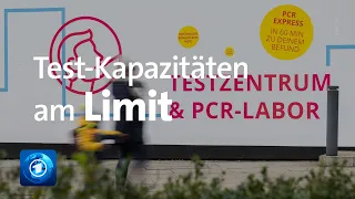 Steigende Corona-Infektionszahl: Labore am Limit der Test-Kapazitäten