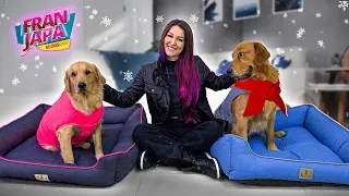 MEUS CACHORROS ESTÃO CONGELANDO NO FRIO - Fran Japa