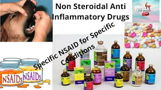 Non Steroidal Anti inflammatory Drugs | Use of various NSAIDs in specific conditions in animals