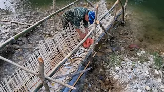 Make fish traps. Search for food alone. Survive alone : part 4