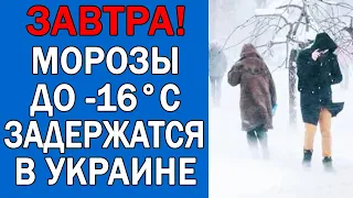 ПОГОДА НА 2 ДЕКАБРЯ : ПОГОДА НА ЗАВТРА