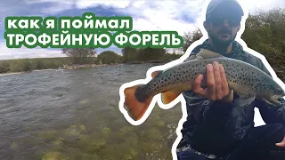 Как я поймал трофейную форель !