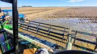 Extreme challenge in soybean harvesting in Brazil