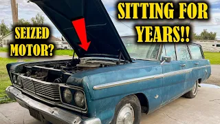 Station Wagon Sitting For 10 Years Fires Up!
