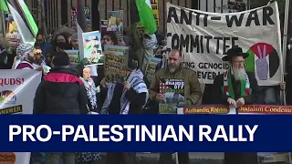 Dozens take part in Palestinian rally in downtown Chicago