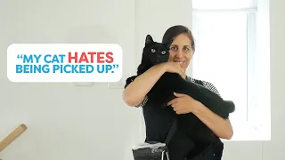 Teach Your Cat To Enjoy Being Picked Up