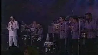 Hector Lavoe - Llego La Banda En Vivo Con La Solucion Salsa