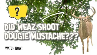 Did Weaz Shoot Dougie Mustache???