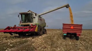 Žetva DKC kukuruza u susnoj 2021 godini Harvest of DKC corn in the dry year 2021