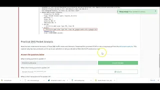 Practical DNS Packet Analysis - Tryhackme- silent mode