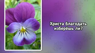 Христа благодать изберёшь ли? (+)