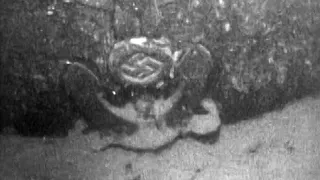 Wrack von Nazi-Kriegsschiff vor norwegischer Küste gefunden | AFP