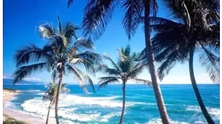 Самый лучший курорт   Вся Доминикана, обзор