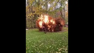 Burn Leaves Fail!