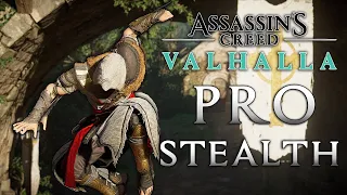 Hyper-Cinematic Stealth Kills | AC Valhalla Bayek Outfit