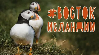 ВОСТОК ИСЛАНДИИ // АЙСБЕРГИ И ТУПИКИ