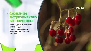 Астраханский заповедник | Природа | Телеканал "Страна"