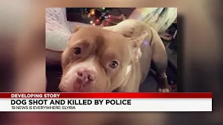 Elyria officer fatally shoots dog following arrest of shooting suspect