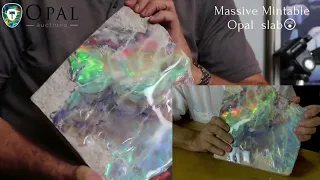 MASSIVE colourful specimen of natural opal on its host sandstone mined in mintabie. 😲😲👀👀👀