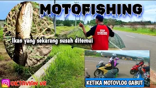 MOTOFISHING DI RAWA LINTAS TIMUR || TERNYATA  IKAN GABUSNYA BANYAK