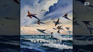 날치야, 내 얘기 좀 들어봐 : 시온 (Sion) - Flying Fish [가사/해석/번역/한글/자막]