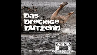 #28 Das dreckige Dutzend - Best of die Ärzte