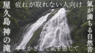 【超強力 屋久島の神の滝】滝の音を聴き流すだけで心身を浄化し大自然のエネルギーチャージ＆超グラウンディングできるパワースポット自然音【ASMR 勉強 作業 リラックス 瞑想 癒し ヒーリング 睡眠】