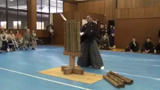Samurai Cuts...7 Bamboo Trees