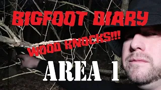 BIGFOOT DIARY - Return to AREA 1 WOOD KNOCK RECORDED, Game Camera Footage review! EXPERIMENT NEWS!!