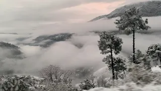 First time snowfall experience in my life