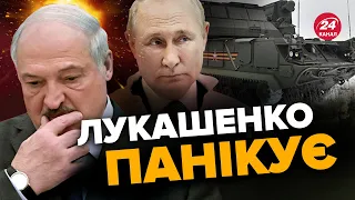 💩ЛУКАШЕНКО вже благає закінчити ВІЙНУ в УКРАЇНІ / Вусатий перевзувся?