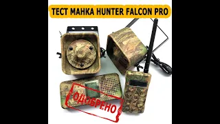 Тест электронного манка Falcon Hunter PRO