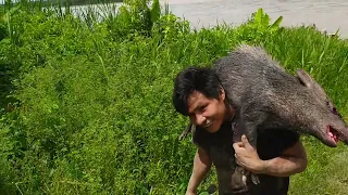 CAZA DE SAJINO EN LA SELVA NORTE DEL PERÚ