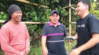 Jackfruit Farming