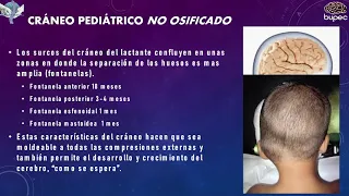 Cráneo del paciente pediátrico: revisión médica e histórica.|Dr. Manuel Castillo de la Cruz