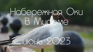 Набережная Оки в Муроме, июнь 2023, Embankment of the Oka River in Murom, June 2023