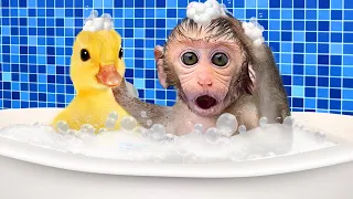 Monkey Baby Bon Bon bathes with duckling in the bathtub and eats yellow watermelon in the kitchen