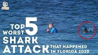 See what they didn't -Top 5 Worst Shark Attacks That Happened in Florida 2020